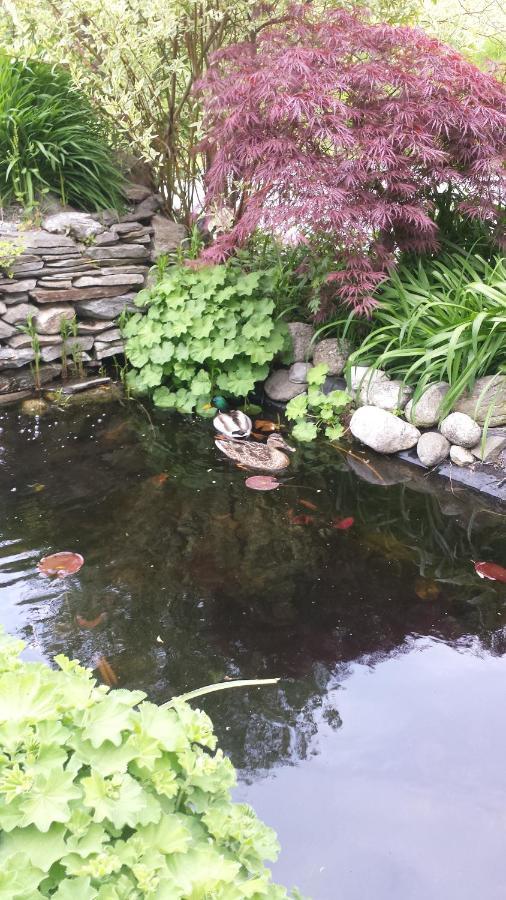 Schlosshof Zu Montani Morter 外观 照片