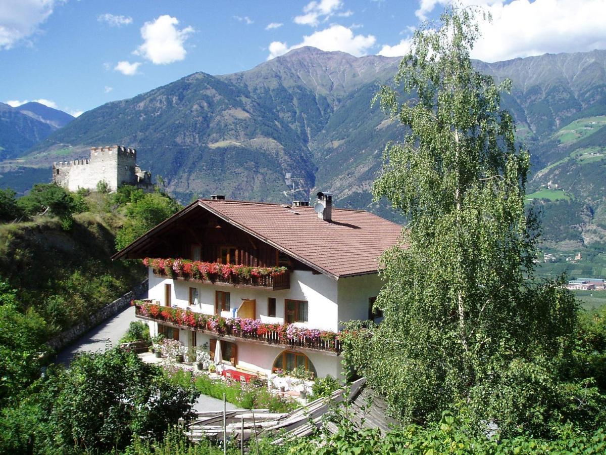 Schlosshof Zu Montani Morter 外观 照片