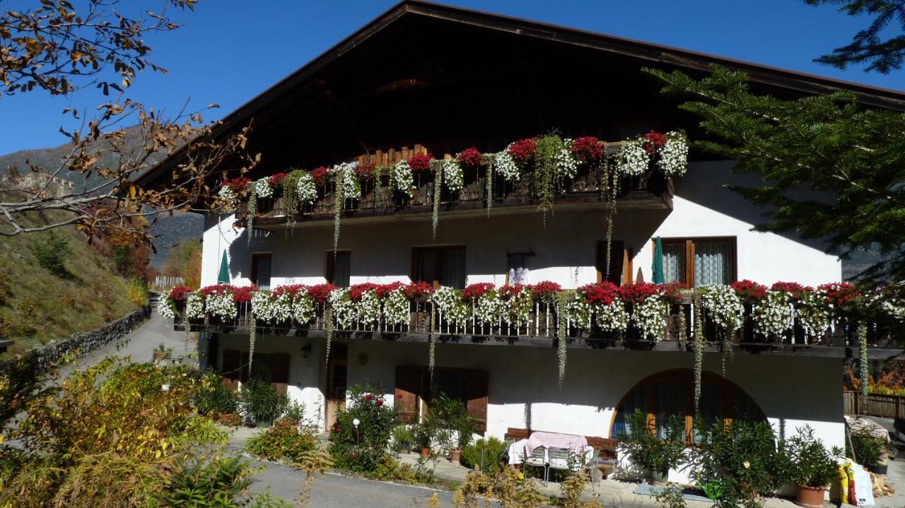 Schlosshof Zu Montani Morter 外观 照片