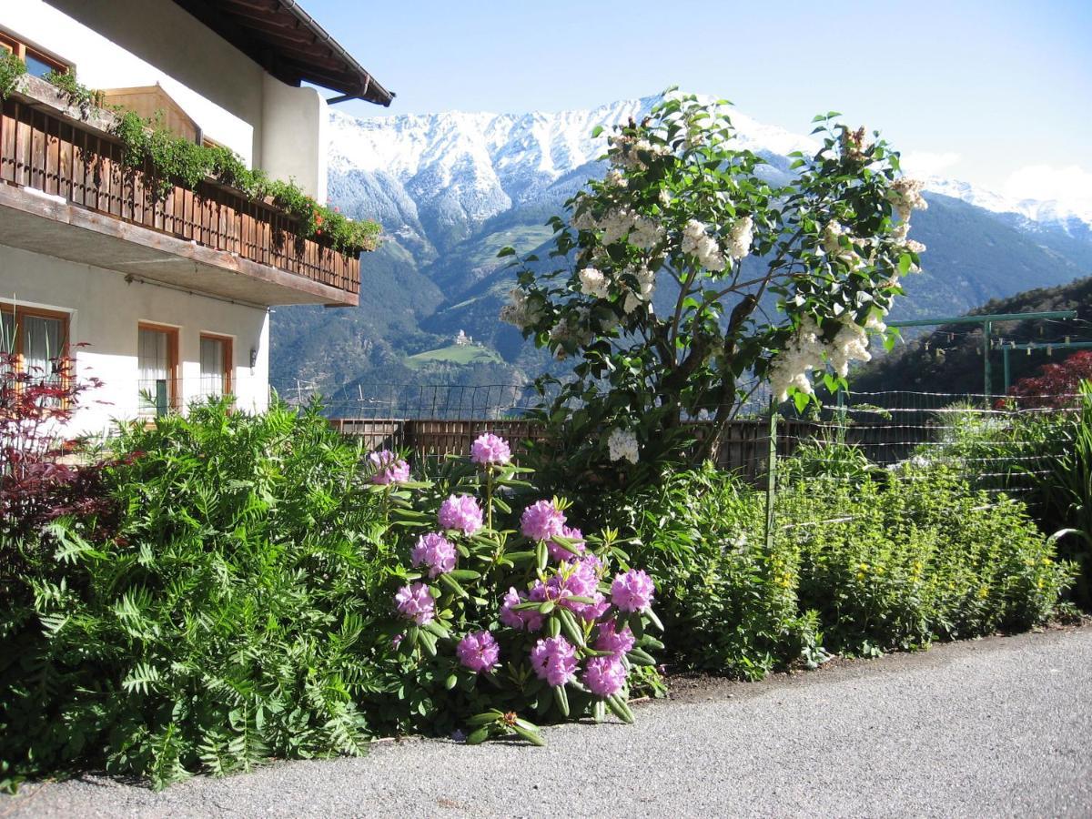 Schlosshof Zu Montani Morter 外观 照片